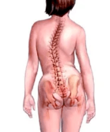 Pathologie des Muskuloskelettsystems